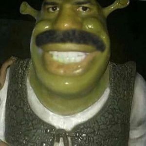 Meet your Posher, Will